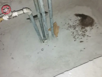 岳普湖卫生间测漏水价格明细