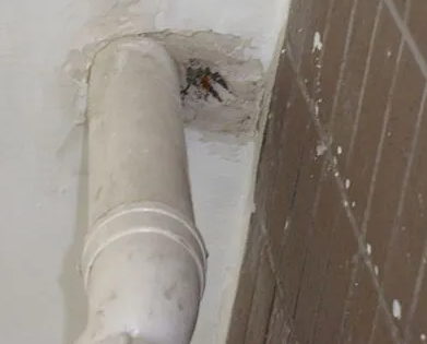 岳普湖漏水检测哪家好